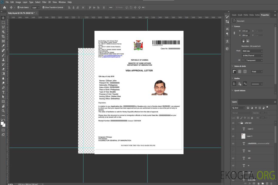 Visa électronique pour la ZAMBIE template Visa électronique pour la ZAMBIE template